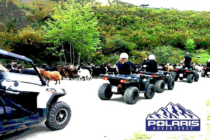 Half-Day Rethymno Quad Safari - Mountain tracks, creek crossings, and the rough stuff