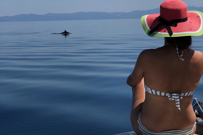 Halkidiki: Sithonia Private Full Day Cruise - Diaporos Island and Blue Lagoon