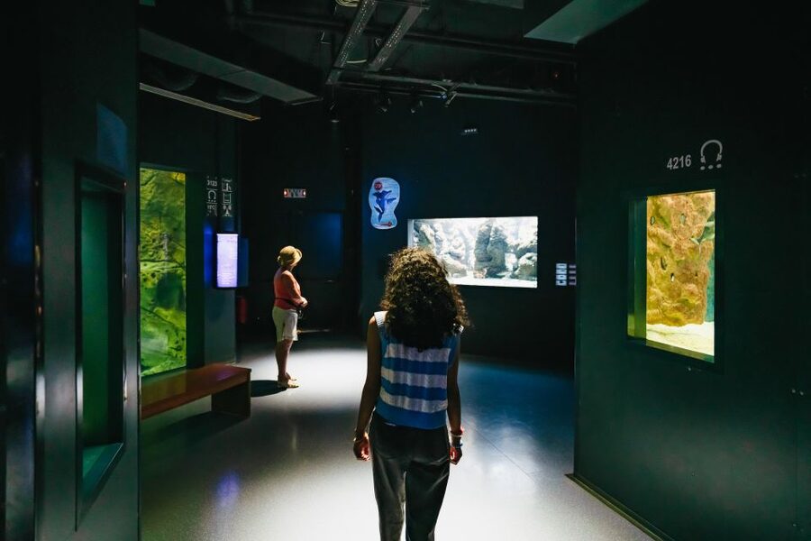 Heraklion Area: CRETAquarium Admission Ticket - Why the $9 ticket is good value