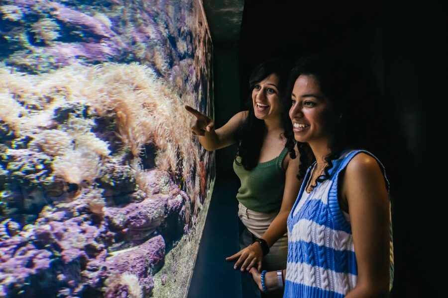 Heraklion Area: CRETAquarium Admission Ticket - Getting there from Heraklion, Malia, or Hersonissos