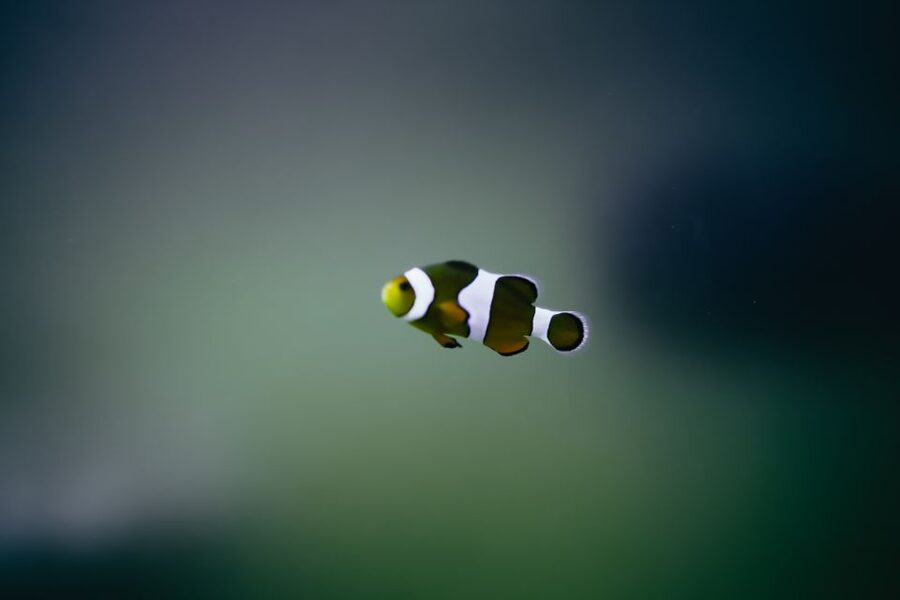 Heraklion Area: CRETAquarium Admission Ticket - The best time to arrive