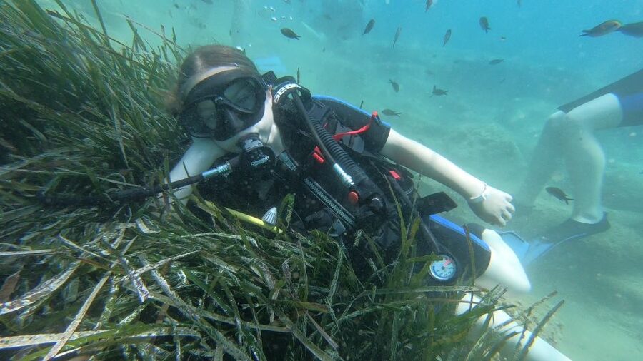 Heraklion: Beginner Scuba Diving Lesson with PADI Instructor - Who will get the most from this experience