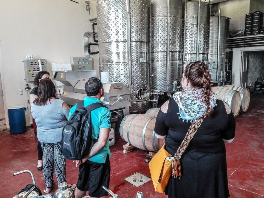Heraklion: Cretan Wine Tasting Tour & Gourmet Lunch - A tasting built around local grape varieties