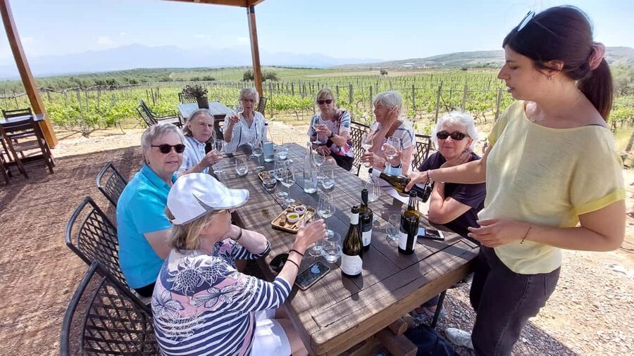 Heraklion: Cretan Wine Tasting Tour & Gourmet Lunch - From your hotel to the vineyards around Archanes