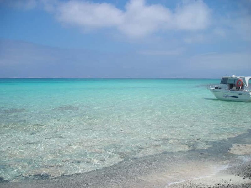 Heraklion:Cruise to Chrissi island natural park with pick up - The real appeal of a Chrissi Island day