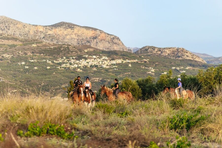 Heraklion: Finikia Horse Riding Tour with Lunch or Dinner - Key points to know before you book