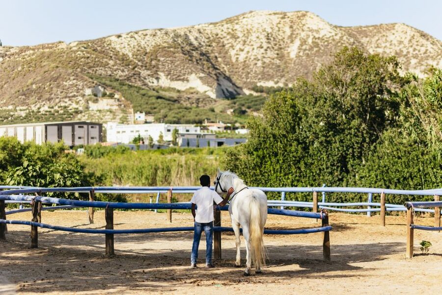 Heraklion: Finikia Horse Riding Tour with Lunch or Dinner - A mountain ride with a generous Cretan finish