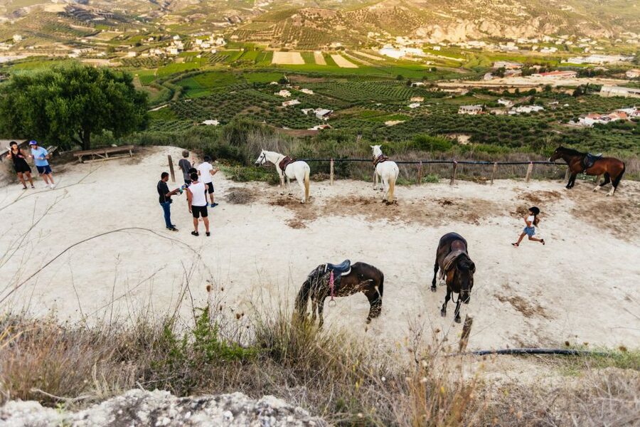 Heraklion: Finikia Horse Riding Tour with Lunch or Dinner - Beginner riding, experienced riders, and the pace