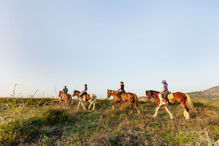 Heraklion: Finikia Horse Riding Tour with Lunch or Dinner - Returning to a farm table