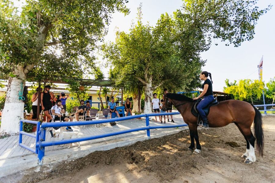 Heraklion: Finikia Horse Riding Tour with Lunch or Dinner - Transport from the resorts