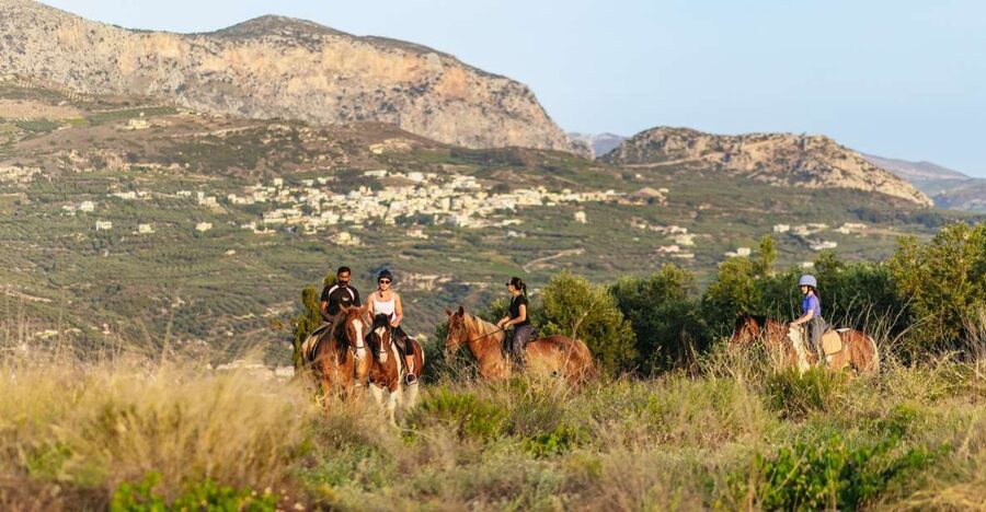 Heraklion: Finikia Horse Riding Tour with Lunch or Dinner - Starting at the Finikia farm