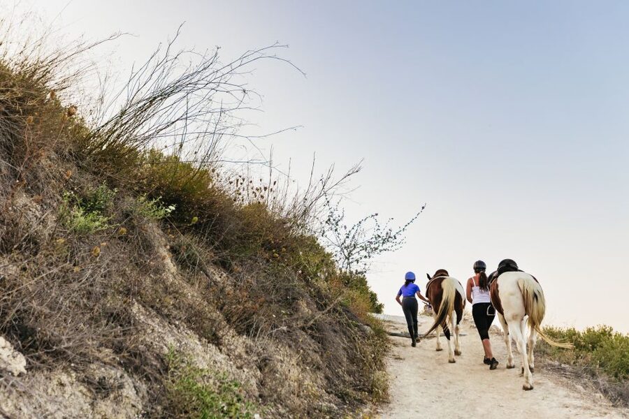 Heraklion: Horse Ride in the Cretan Mountains - Is $68 a fair price?