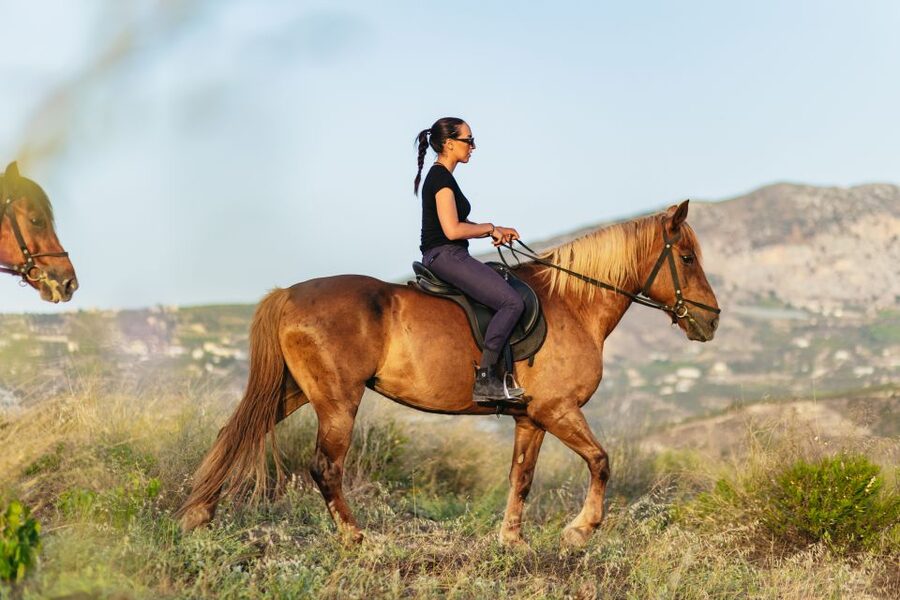 Heraklion: Horse Ride in the Cretan Mountains - Who will enjoy this mountain ride most