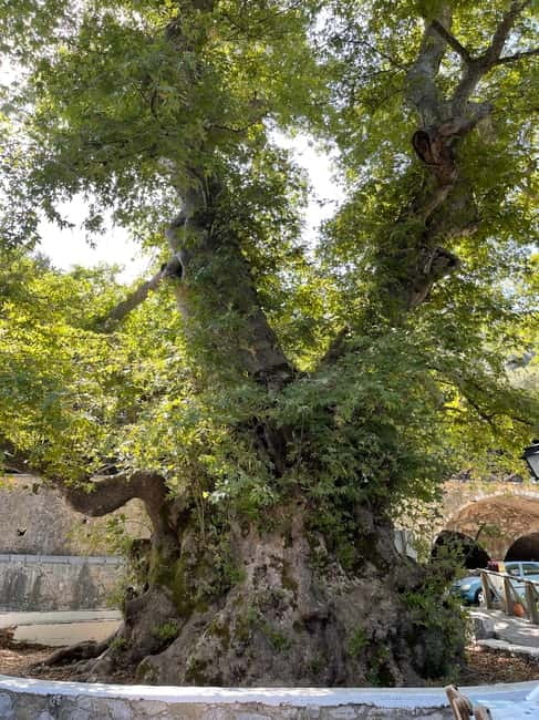 Heraklion: Knossos, Zeus, Villages & Olive Oil Factory Tour - Who will enjoy this day most