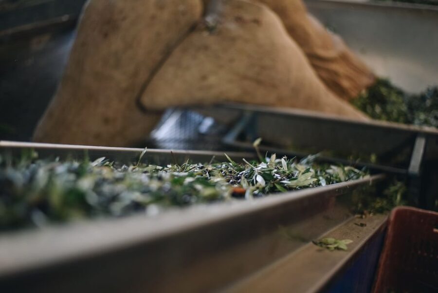 Heraklion: Olive Farm Tour with Tasting of Local Delicacies - From harvested olives to liquid gold
