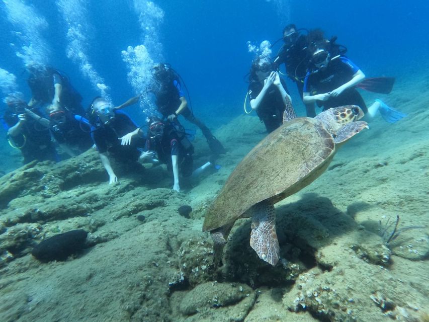 Heraklion: Scuba Diving Experience for Beginners _Beach - What the $81 price includes