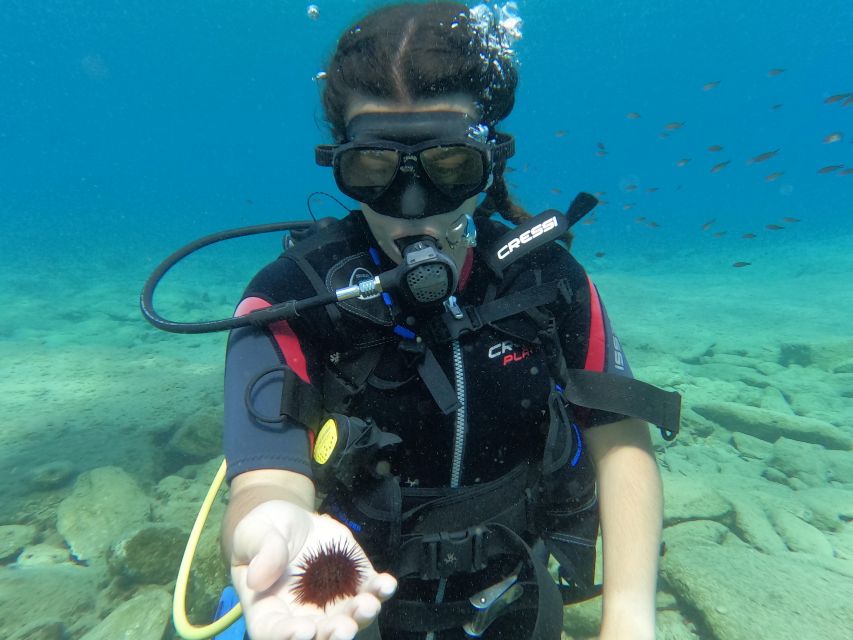 Heraklion: Scuba Diving Experience for Beginners _Beach - Should you book the Aquadive session?