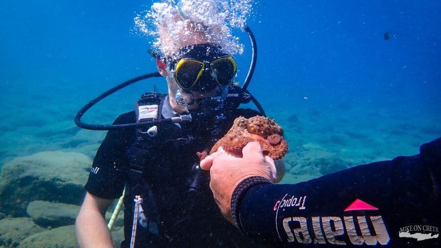 Heraklion: Scuba Diving Experience for First-Timers - Who will enjoy this experience most