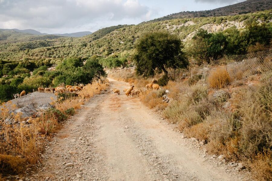 Heraklion: Self-Driving 4X4 Jeep Off-Road Tour with Lunch - Taking the rough route through the mountains