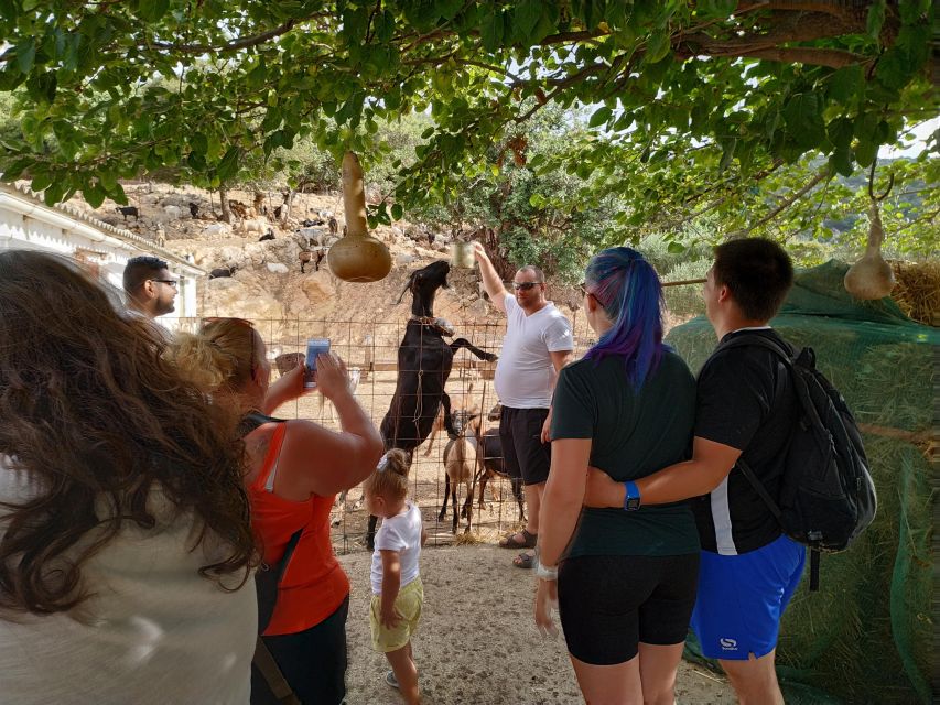 Heraklion: Self-Driving 4X4 Jeep Off-Road Tour with Lunch - The 1,200-meter viewpoint and Lasithi Plateau