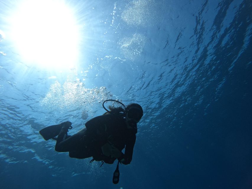 Heraklion: Try Scuba Diving For Beginners (1 dive) - Meeting at Mononaftis Beach