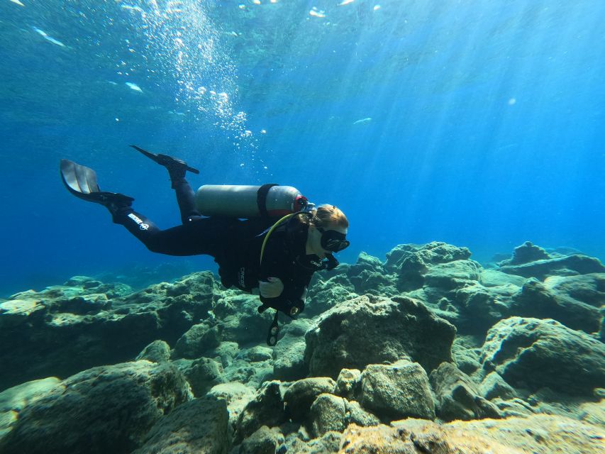Heraklion: Try Scuba Diving For Beginners (1 dive) - Shallow Water First, Open Water Later