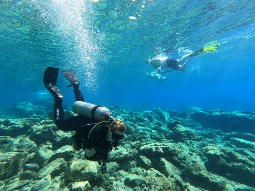 Heraklion: Try Scuba Diving For Beginners (1 dive) - Fish, Clear Water, and a Chance of an Octopus
