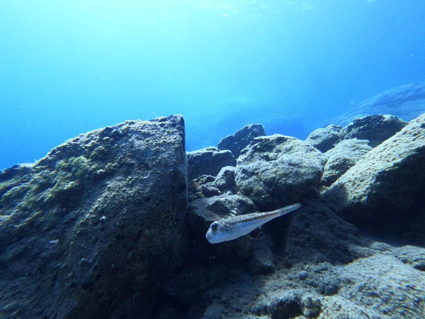 Heraklion: Try Scuba Diving For Beginners (1 dive) - What the Four to Five Hours Really Include