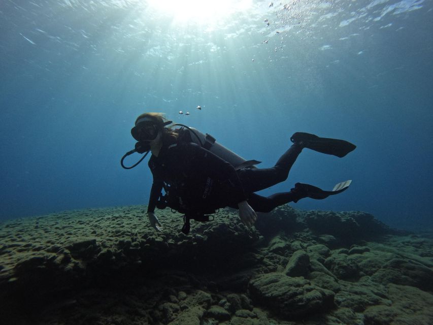 Heraklion: Try Scuba Diving For Beginners (1 dive) - What Is Included for $116?