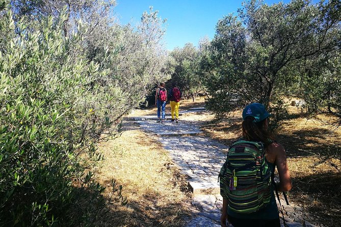 Hills Of Athens Walking Tour - Key points to know before you book