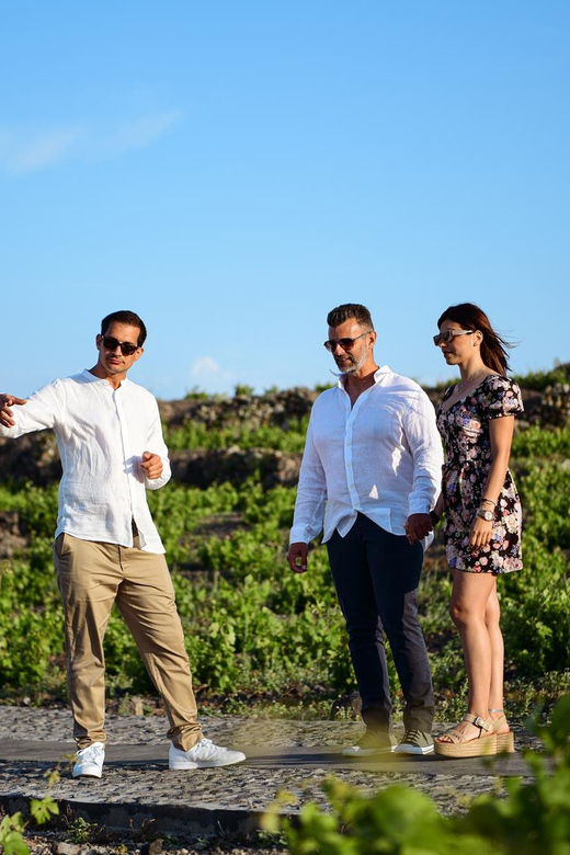 Imerovigli: Premium Wine Tasting with Caldera and Sea Views - The caldera view is part of the value