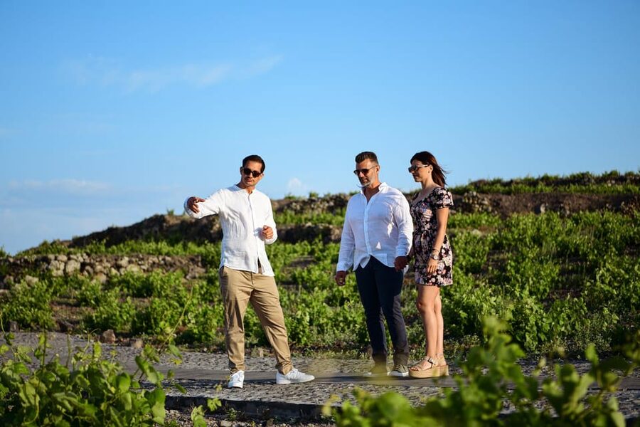 Imerovigli: Premium Wine Tasting with Caldera and Sea Views - Should you book White Pearl Cavalieri?