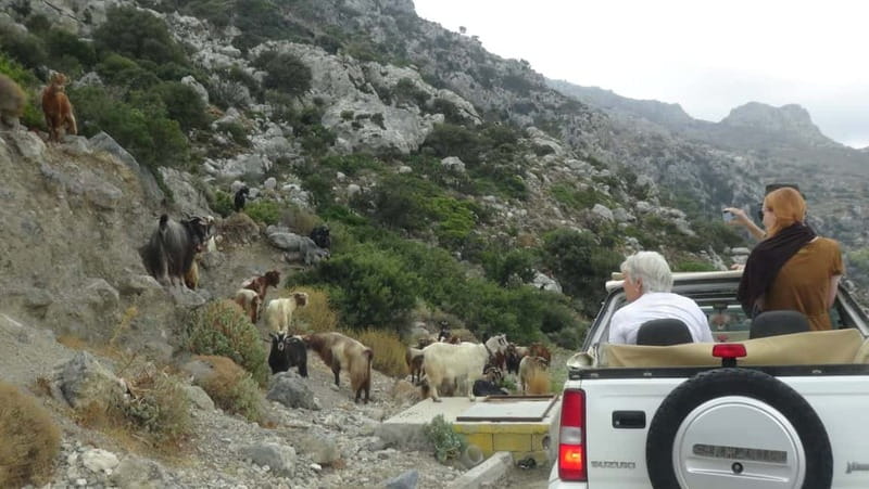 Jeep Driving Tour to Thripti Mountains and typical villages - Five things to know before you book