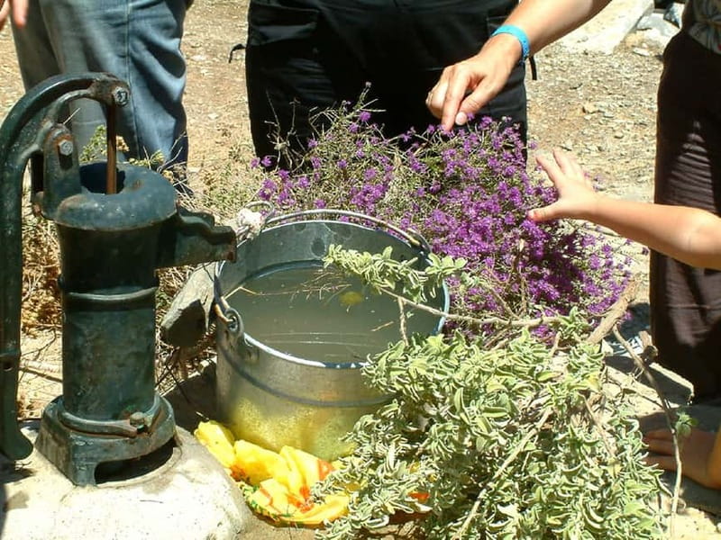 Jeep Driving Tour to Thripti Mountains and typical villages - Mochlos brings food and sea air