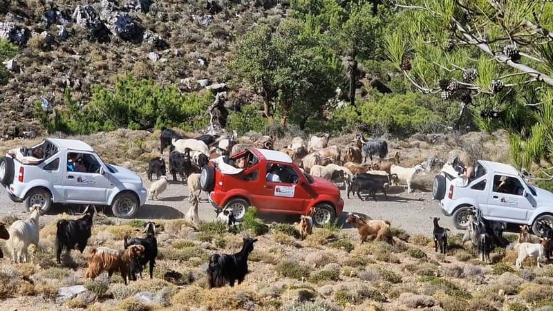 Jeep Driving Tour to Thripti Mountains and typical villages - Ierapetra is the practical starting point
