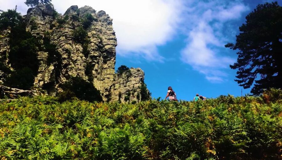 Jeep Safari in Thassos Mountain - Key points to know before you book