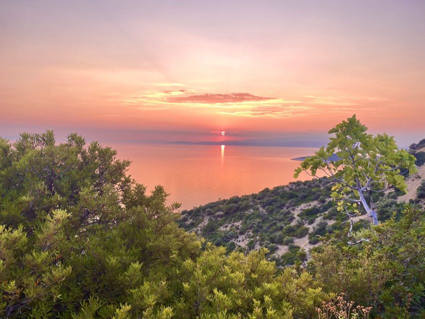 Jeep Safari in Thassos Mountain - Pickup, group size, and practical limits