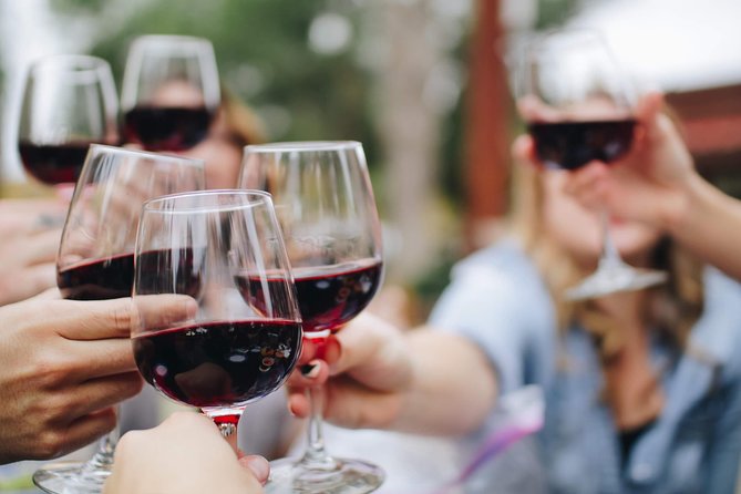 Kalamata- Olive oil & Wine Tour with traditional lunch - Why this Androusa food tour feels different