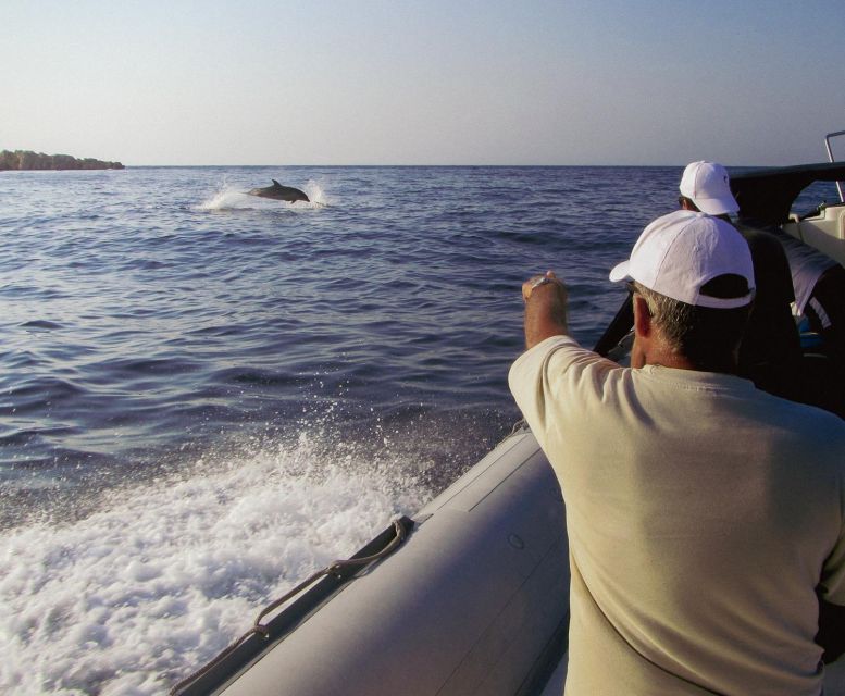 Kamiros Skala : Marine Life Experience & Alimia Island - A proper fish lunch by the water