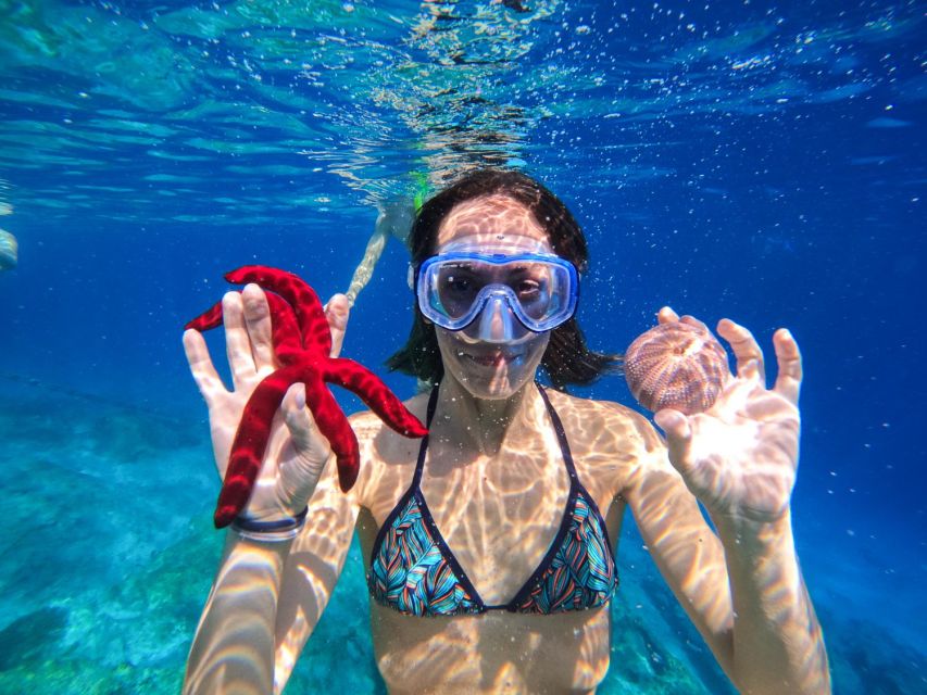 Kamiros Skala : Marine Life Experience & Alimia Island - Who will enjoy this most