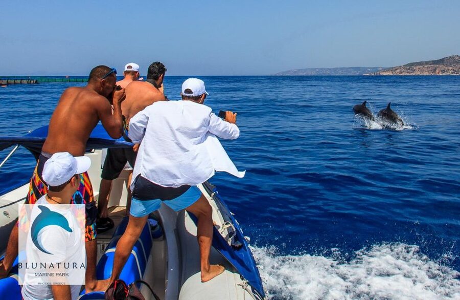 Kamiros Skala : Marine Life Experience & Alimia Island - What to bring and what to skip