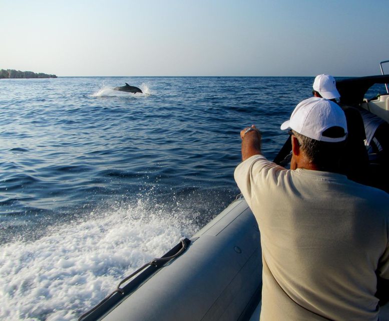 Kamiros Skala: Marine Life Experience by Boat - Key points to know before you go