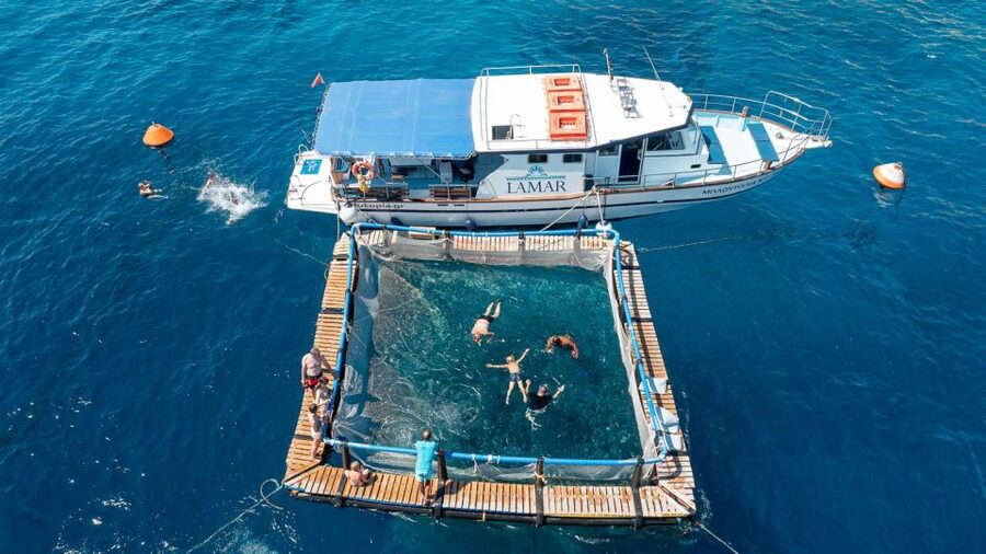 Kamiros Skala: Marine Life Experience by Boat - Why this Kamiros Skala boat trip feels different