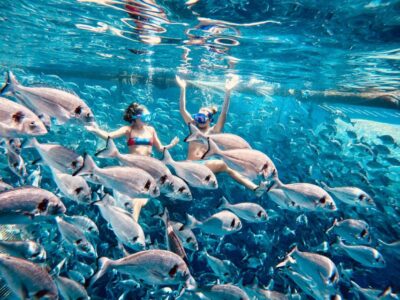 Kamiros Skala: Marine Life Experience by Boat