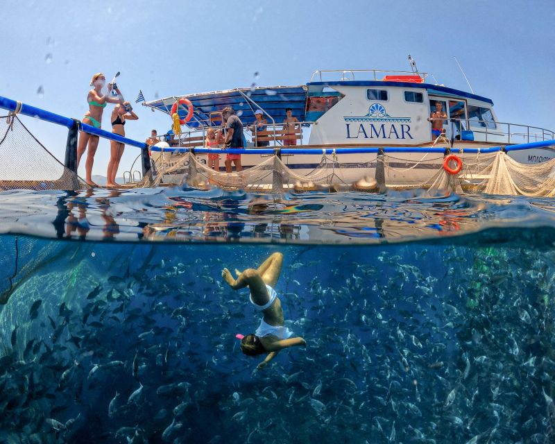Kamiros Skala: Marine Life Experience by Boat - What the $106 price includes