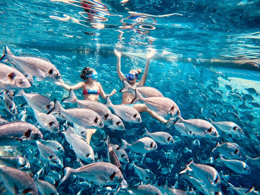 Kamiros Skala: Marine Life Experience by Boat - From Kamiros Skala to Makri Islet
