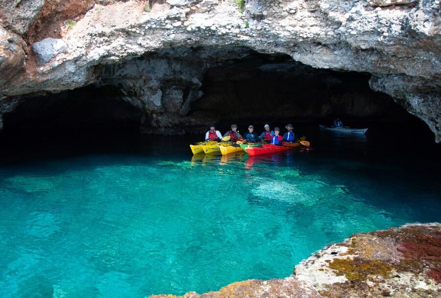 Kardamyli: Sea Kayaking With Lunch - Who should book this Kardamyli kayak trip?