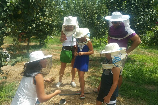 Katakolon Small Group Tour: Olympic site, Honey/Olive Oil Tasting - Padelina’s olive oil and local food tasting