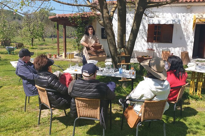 Katakolon Small Group Tour: Olympic site, Honey/Olive Oil Tasting - Booking advice for cruise passengers