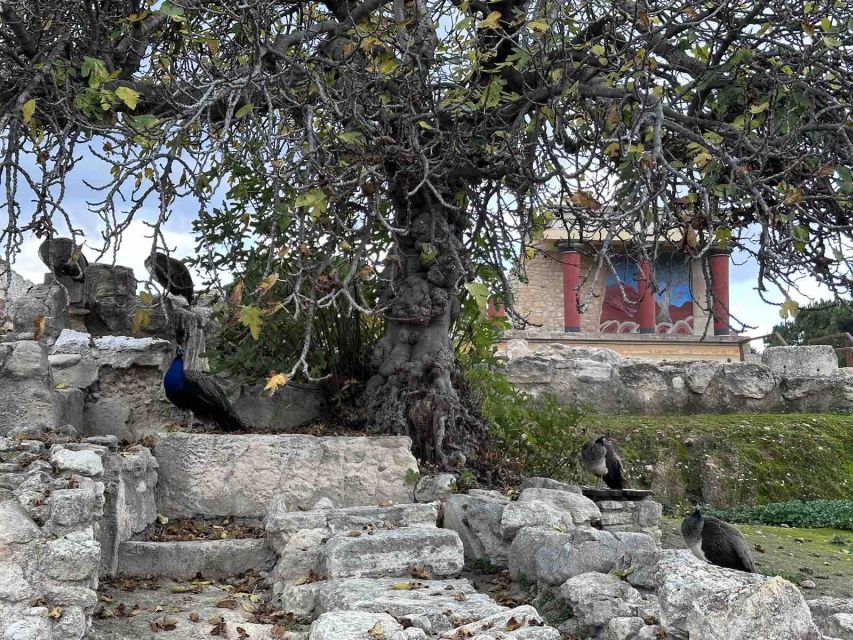 Knossos Palace Skip-the-Line Ticket & Private Guided Tour - Who should book this Knossos tour?